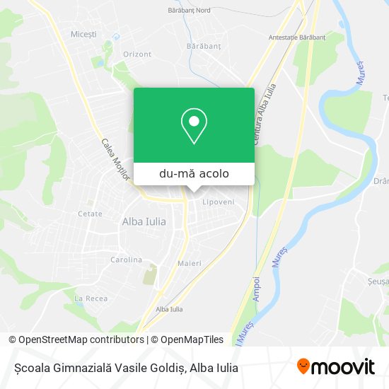 Hartă Școala Gimnazială Vasile Goldiș