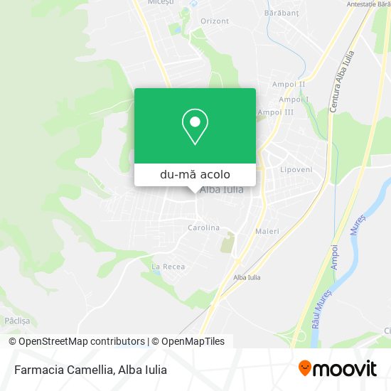 Hartă Farmacia Camellia