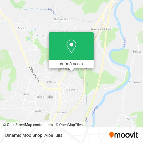 Hartă Dinamic Mob Shop