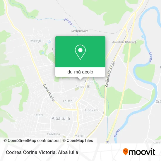 Hartă Codrea Corina Victoria