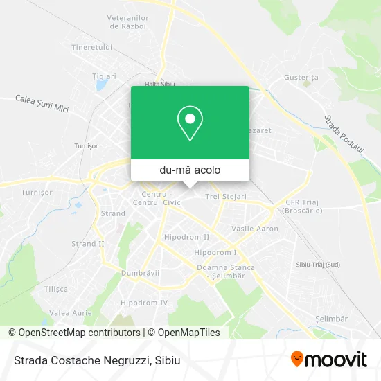 Hartă Strada Costache Negruzzi