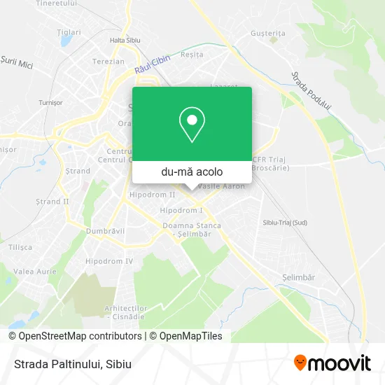 Hartă Strada Paltinului