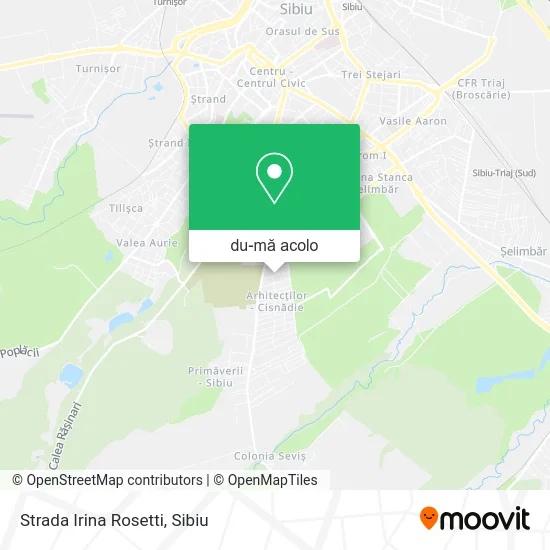 Hartă Strada Irina Rosetti