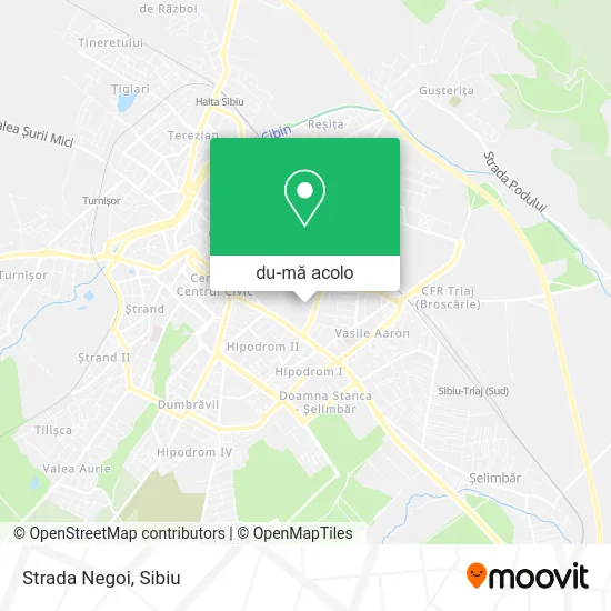 Hartă Strada Negoi