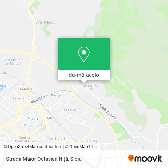 Hartă Strada Maior Octavian Niță