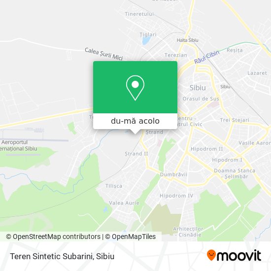 Hartă Teren Sintetic Subarini