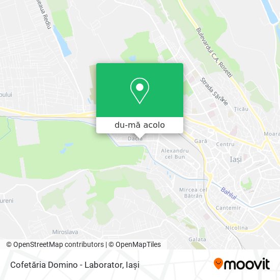 Hartă Cofetăria Domino - Laborator