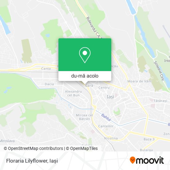 Hartă Floraria Lilyflower