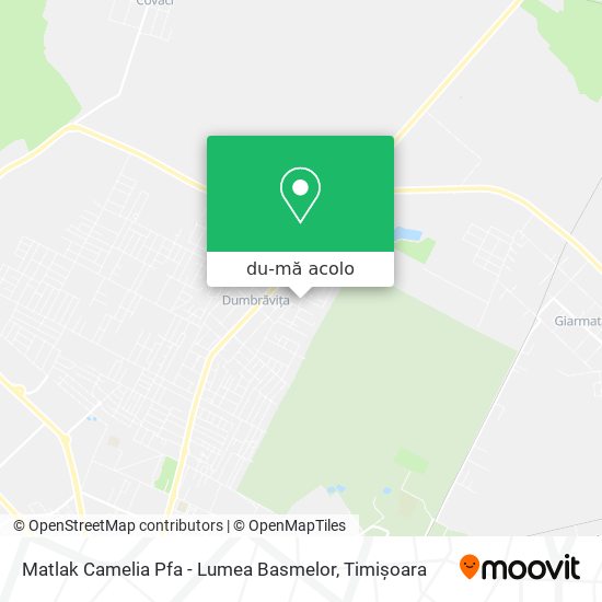 Hartă Matlak Camelia Pfa - Lumea Basmelor
