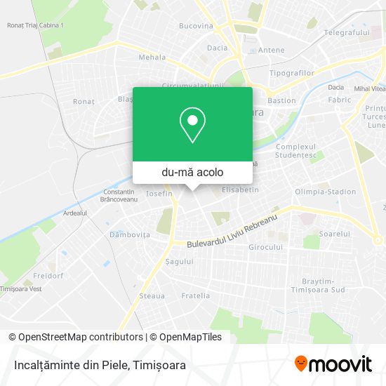 Hartă Incalțăminte din Piele