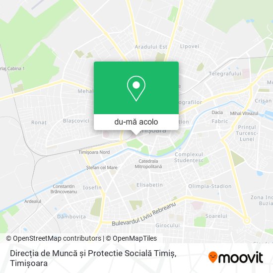 Hartă Direcția de Muncă și Protectie Socială Timiș