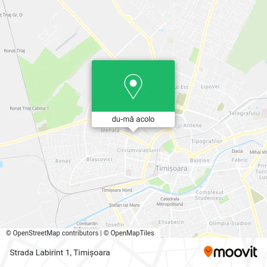 Hartă Strada Labirint 1