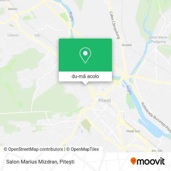 Hartă Salon Marius Mizdran
