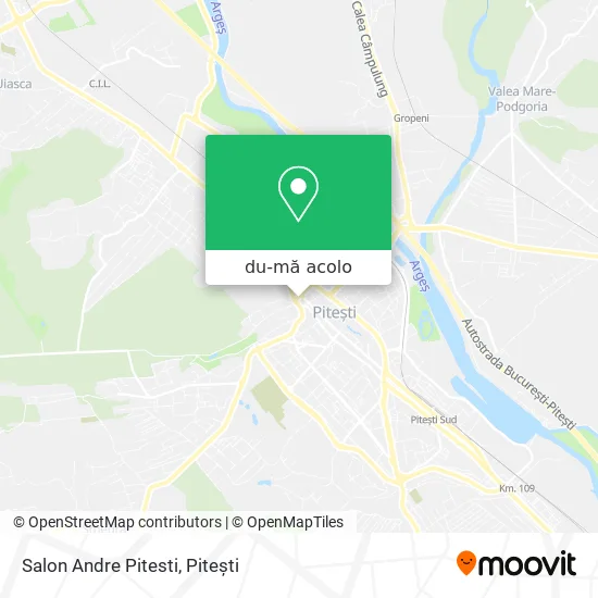 Hartă Salon Andre Pitesti