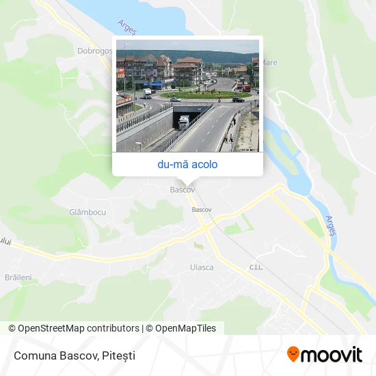 Hartă Comuna Bascov
