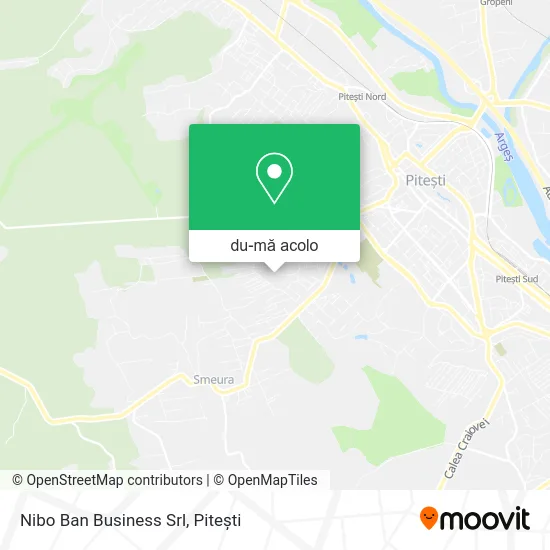 Hartă Nibo Ban Business Srl