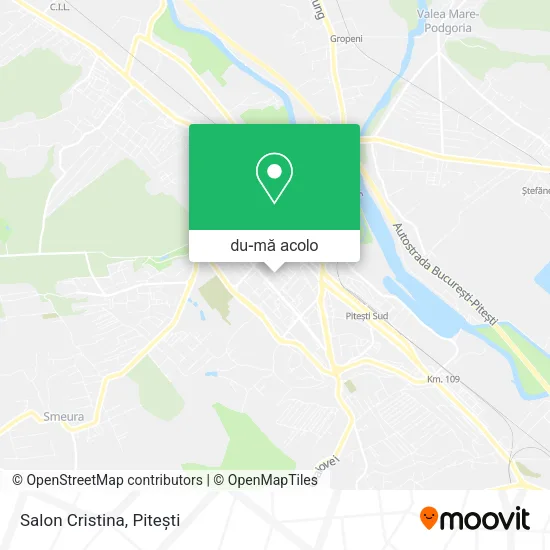 Hartă Salon Cristina