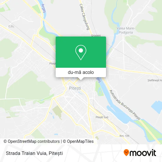 Hartă Strada Traian Vuia