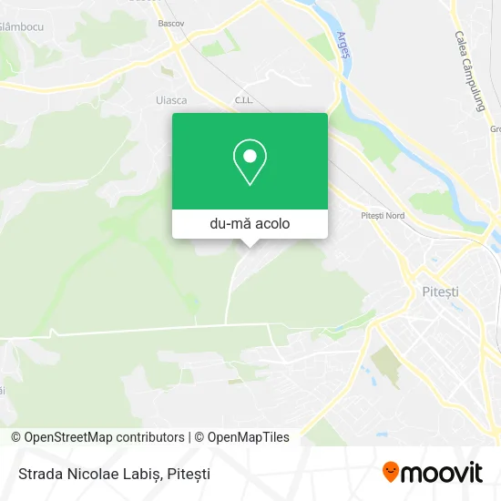Hartă Strada Nicolae Labiş