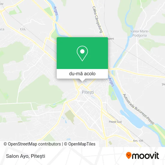 Hartă Salon Ayo