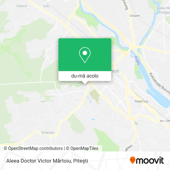 Hartă Aleea Doctor Victor Mărtoiu