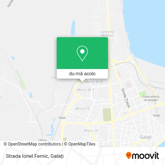 Hartă Strada Ionel Fernic