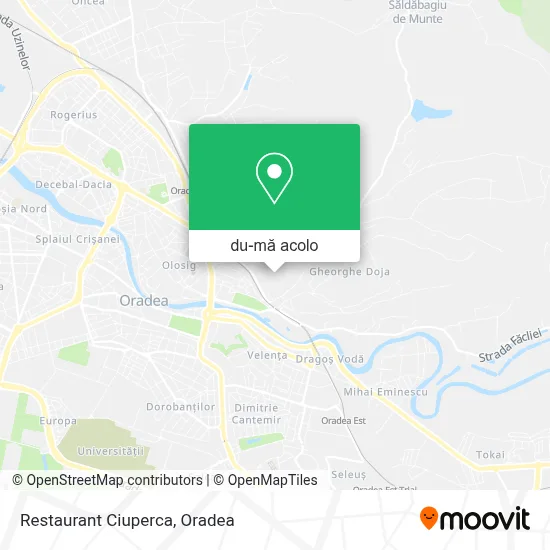 Hartă Restaurant Ciuperca