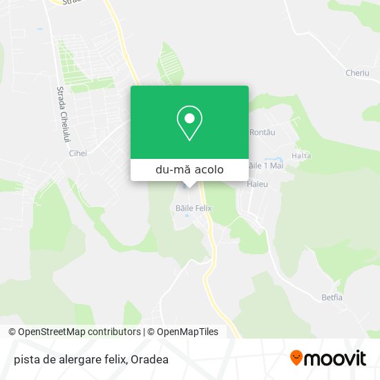 Hartă pista de alergare felix