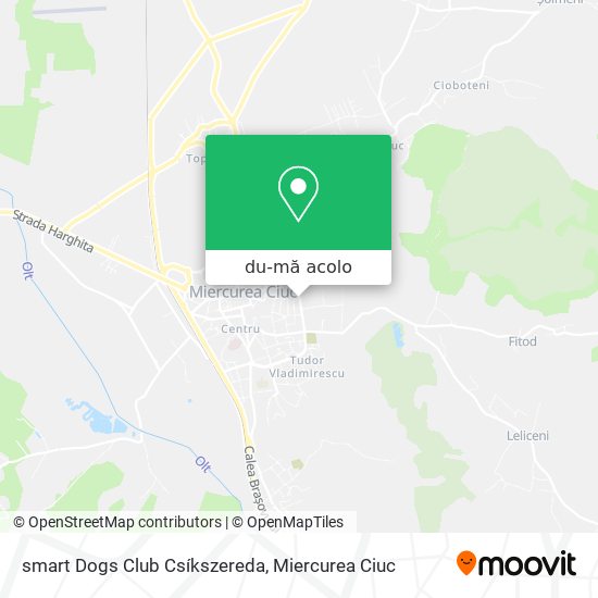 Hartă smart Dogs Club Csíkszereda