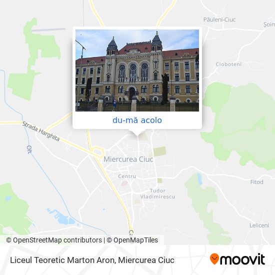 Hartă Liceul Teoretic Marton Aron