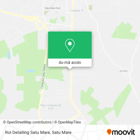 Hartă Rol Detailing Satu Mare