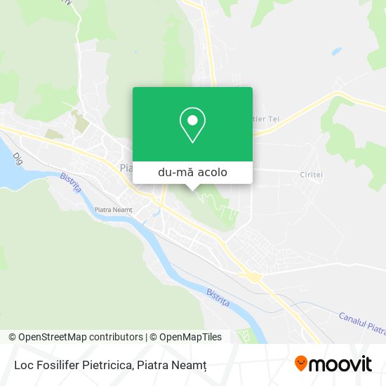 Hartă Loc Fosilifer Pietricica