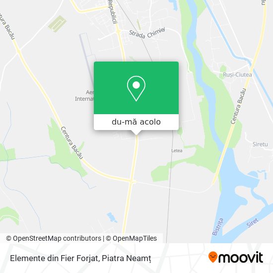 Hartă Elemente din Fier Forjat
