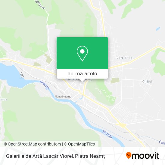 Hartă Galeriile de Artă Lascăr Viorel