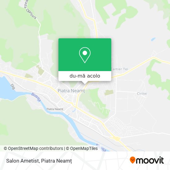 Hartă Salon Ametist