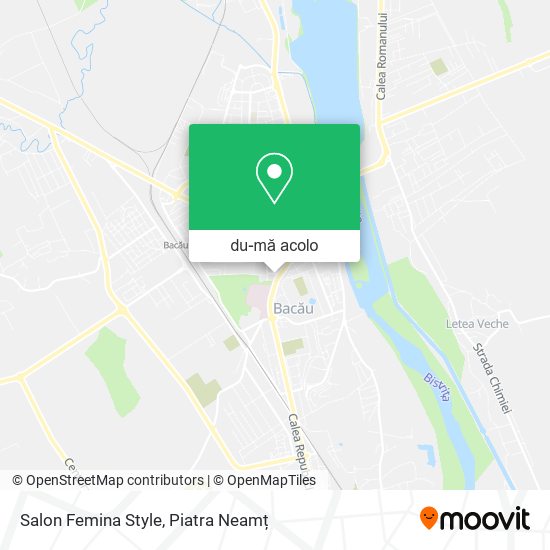Hartă Salon Femina Style