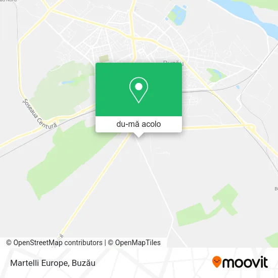 Hartă Martelli Europe