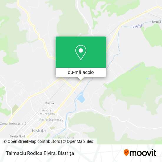 Hartă Talmaciu Rodica Elvira