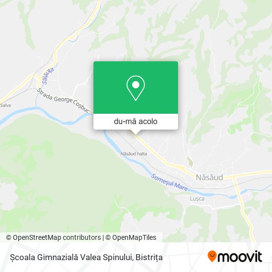 Hartă Școala Gimnazială Valea Spinului