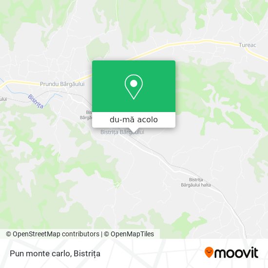 Hartă Pun monte carlo