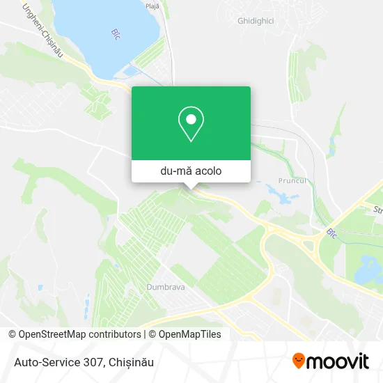 Hartă Auto-Service 307
