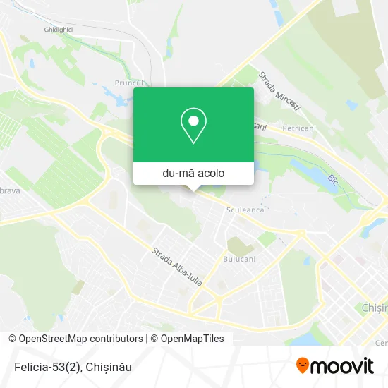 Hartă Felicia-53(2)