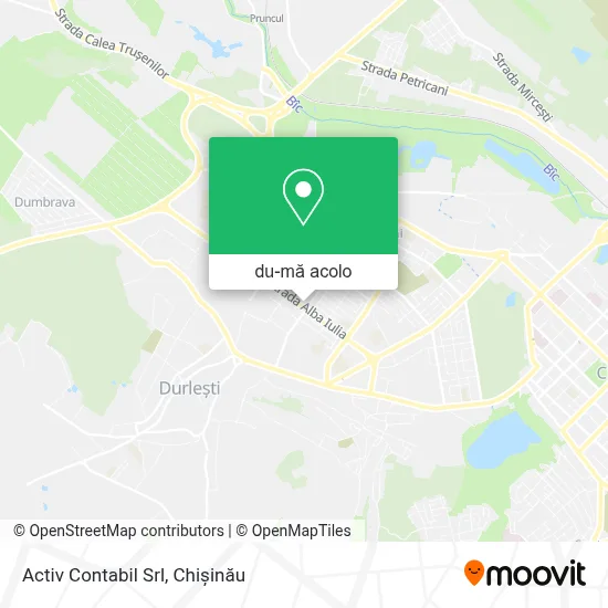 Hartă Activ Contabil Srl