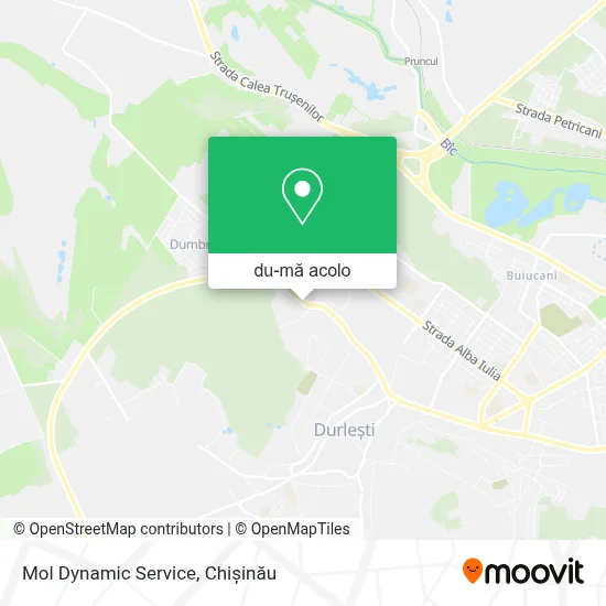 Hartă Mol Dynamic Service