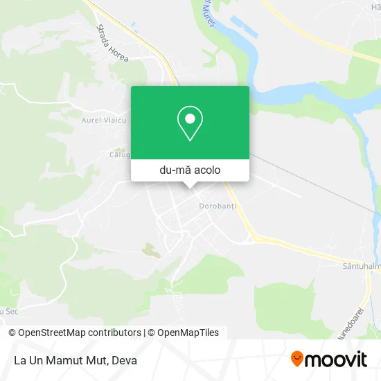 Hartă La Un Mamut Mut