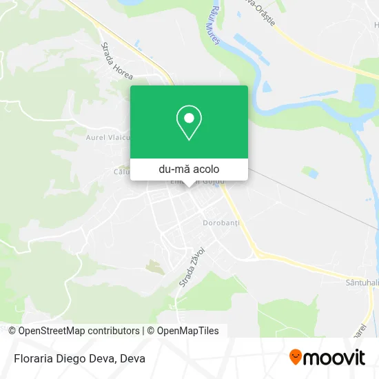 Hartă Floraria Diego Deva