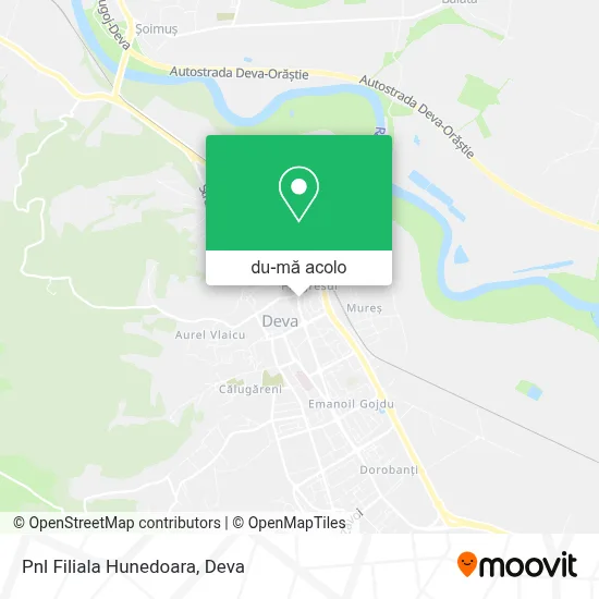 Hartă Pnl Filiala Hunedoara