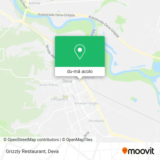 Hartă Grizzly Restaurant