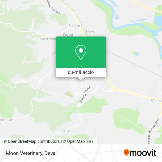Hartă Moon Veterinary