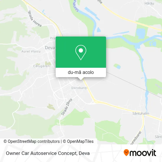 Hartă Owner Car Autoservice Concept